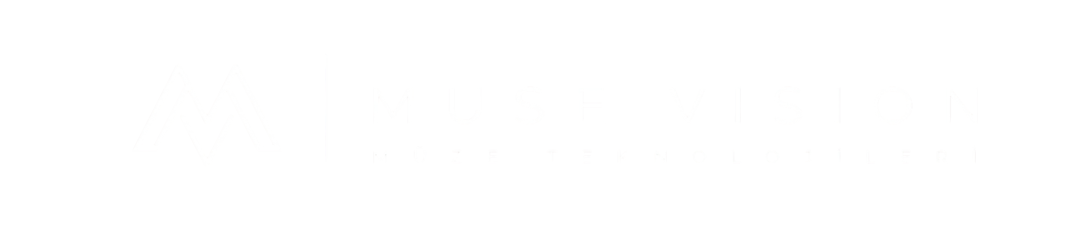 Vison - Müze Teknolojileri